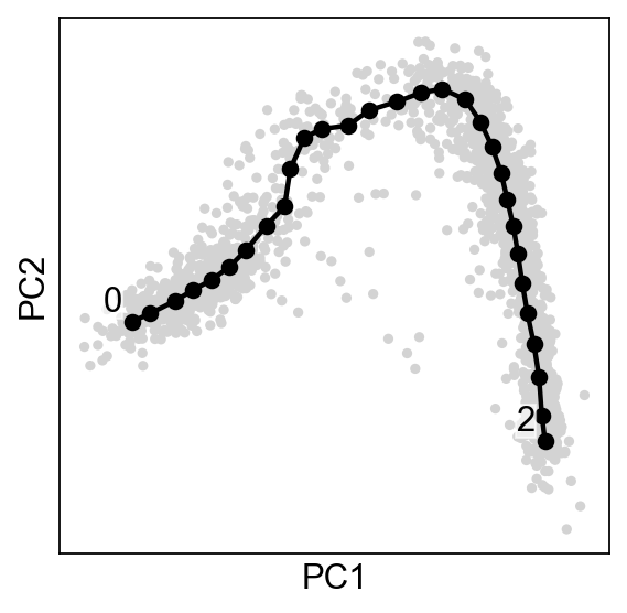 _images/Basic_Curved_trajectory_analysis_12_0.png
