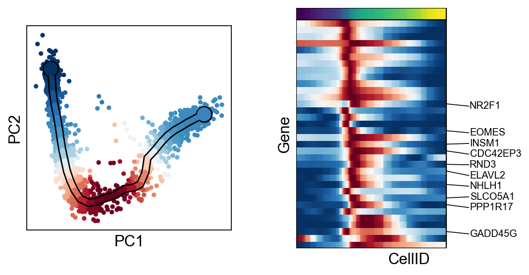_images/Basic_Curved_trajectory_analysis_44_3.png