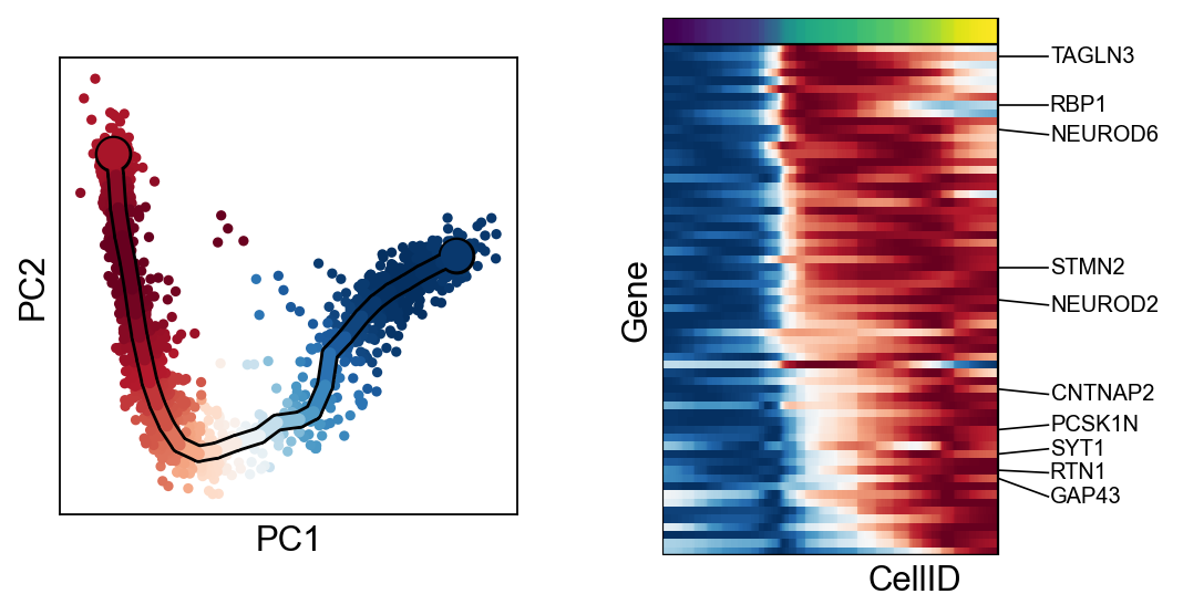_images/Basic_Curved_trajectory_analysis_44_5.png